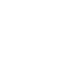 Аккредитованное СМИ · Minidream Broadcasts